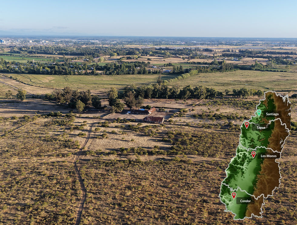 Toesca and Astarte Expand Their Regenerative Agriculture Portfolio with the Acquisition of Ñuble Alto