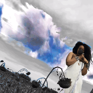 animated.GIF