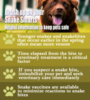 Sarah_Snakes2_edited-1-222x300.jpg