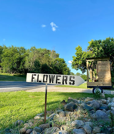 451818461_407527095660452_2203058512271642658_n (1).jpg