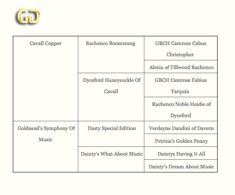 DIZZY_pedigree
