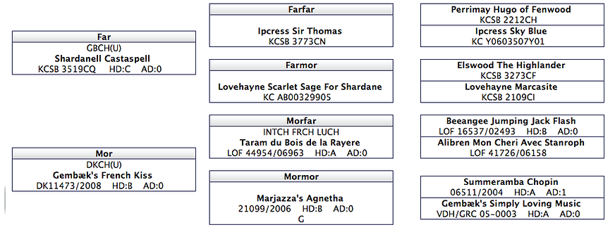 Pedigree_HARRIET.png