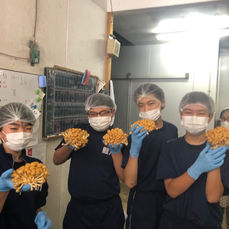 thumbnail_image1 (1).jpg