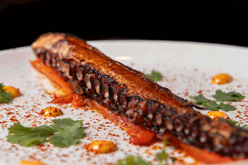 Boston Food Photographer