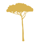 Pijnbomen symbool van Italië, grafisch element Verso Casa