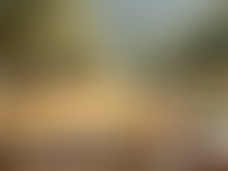 Disfruta de la naturaleza y gastronomía en Jaén