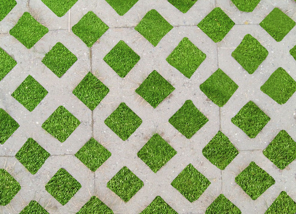 Gridding Landscaping Grass Seed