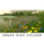 Thumbnail: HC10 The Bees Knees Wildflower Seed Mix 100%