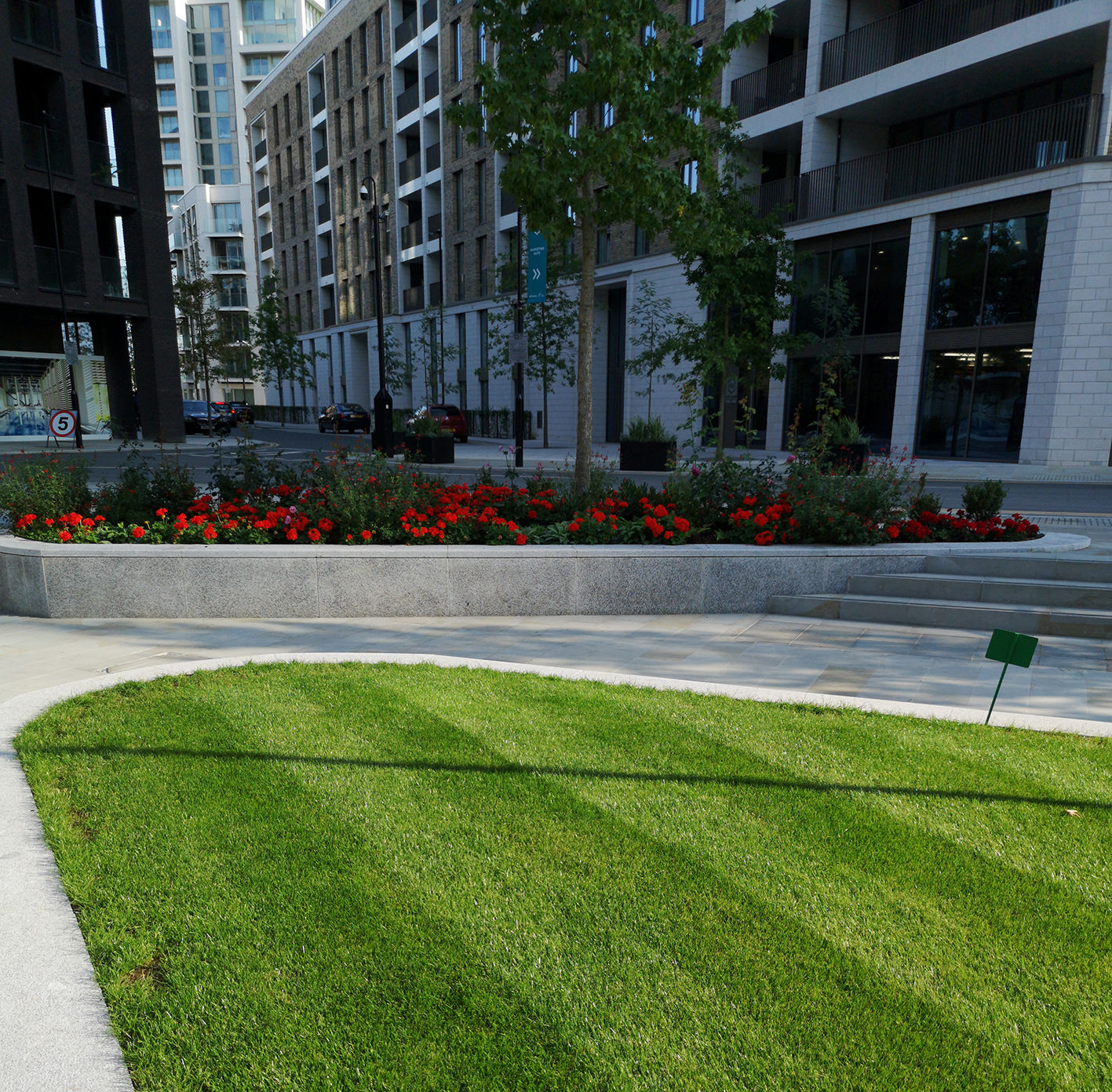 Shaded Areas Grass Seed