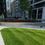 Thumbnail: Shaded Areas Grass Seed