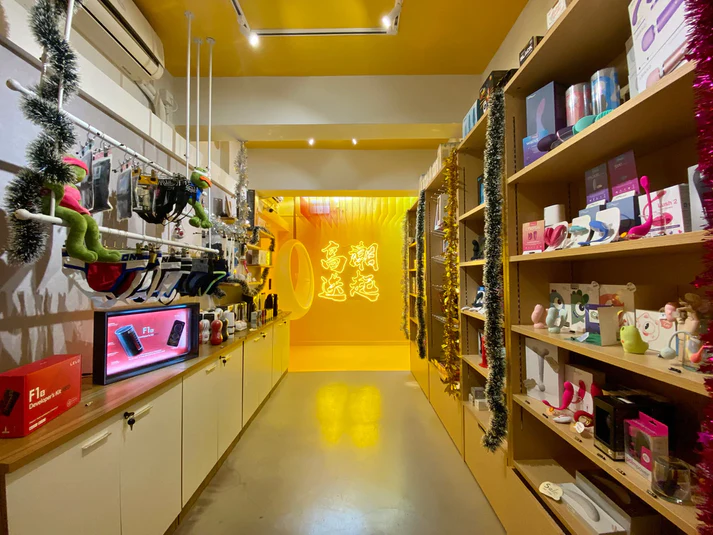 PLEA1001 其實性玩具又有咩好怕喎:帶你行Sex Toys Shop!