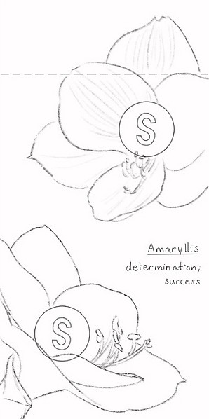 1-sketch-2.jpg