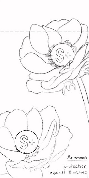 1-sketch-3.jpg