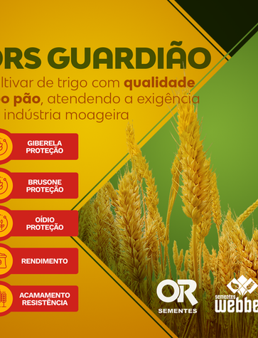 ors-guardiao.png