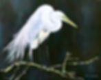 Stenberg Workshop - Painting With Pastels