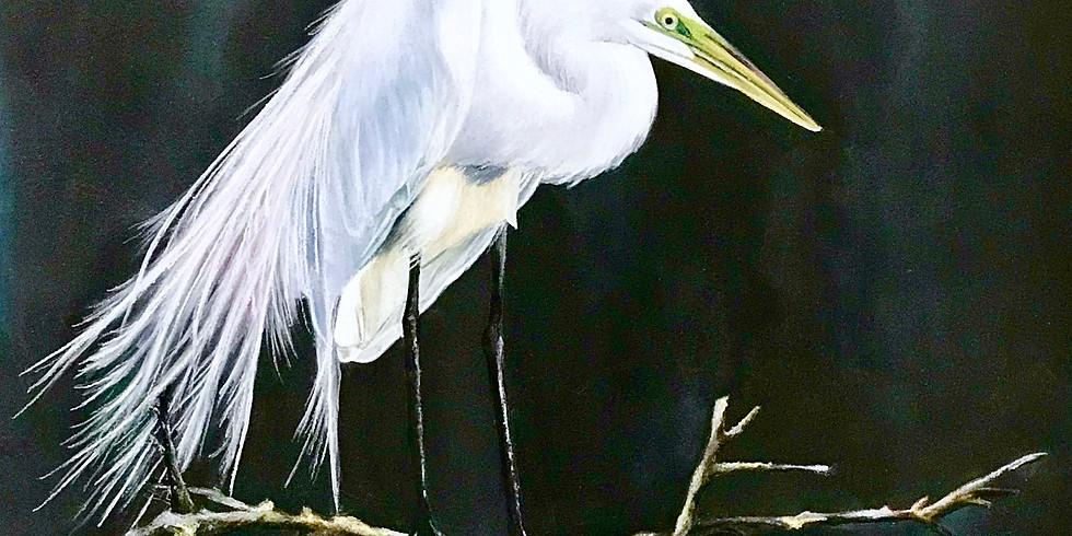 Stenberg Workshop - Painting With Pastels