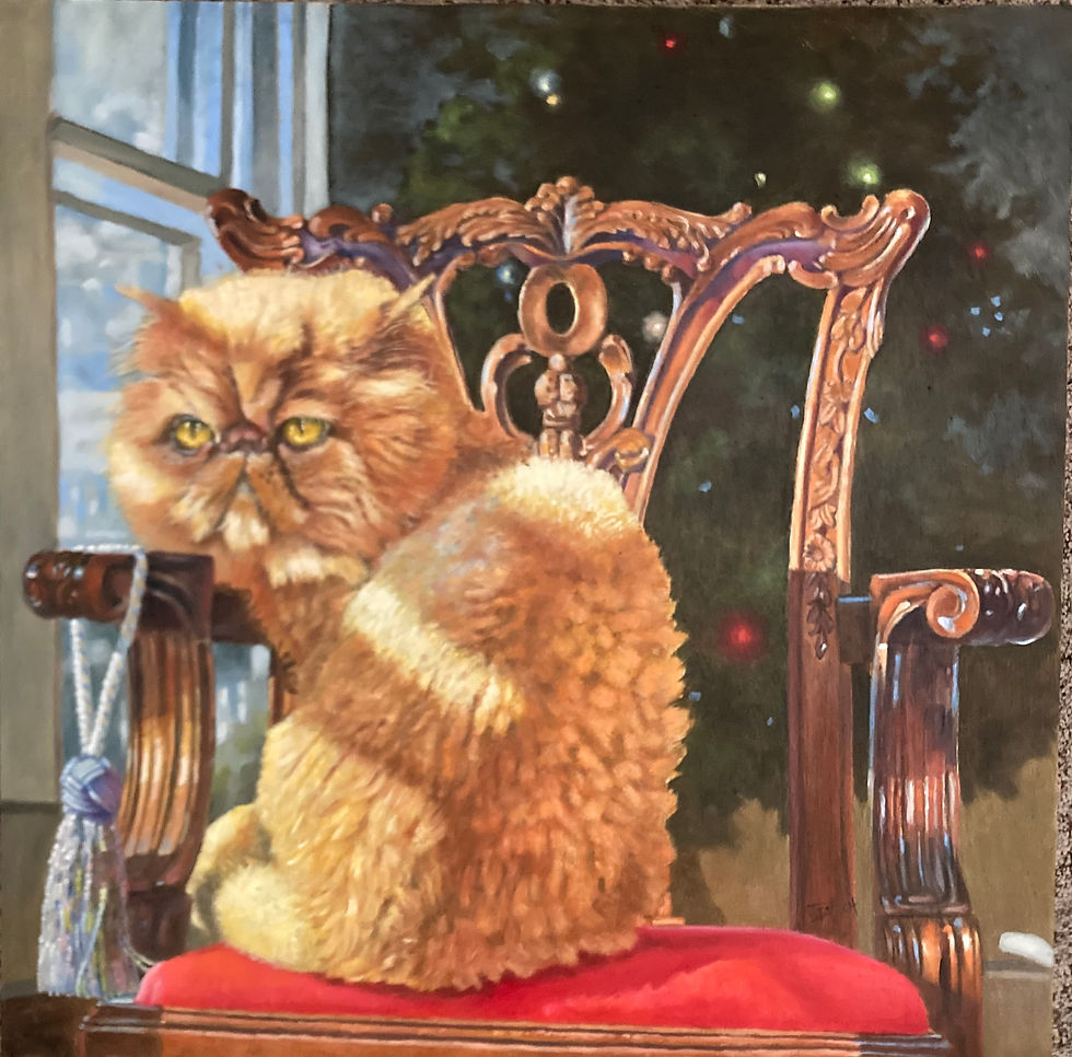 2024-Catching Cats Rays- oil on panel- 20x20