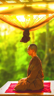 How To Lose Weight Fast! In 5 Proven, Healthy & Holistic Ways! No-Diet Pills! & No Workout Programs!