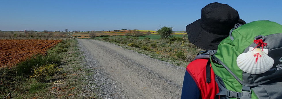 Camino de Santiago.jpeg