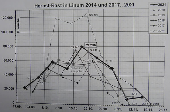 P1140425_bearbeitet-1.jpg