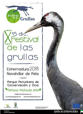 Festival de las Grullas.jpg