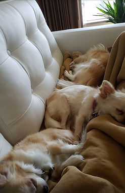 tempFileForShare_20250226-163349_edited.