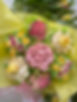 IMG_1384.jpeg