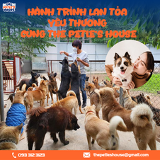 Nhận nuôi thay vì mua: Hành trình lan tỏa yêu thương cùng The Petie’s House