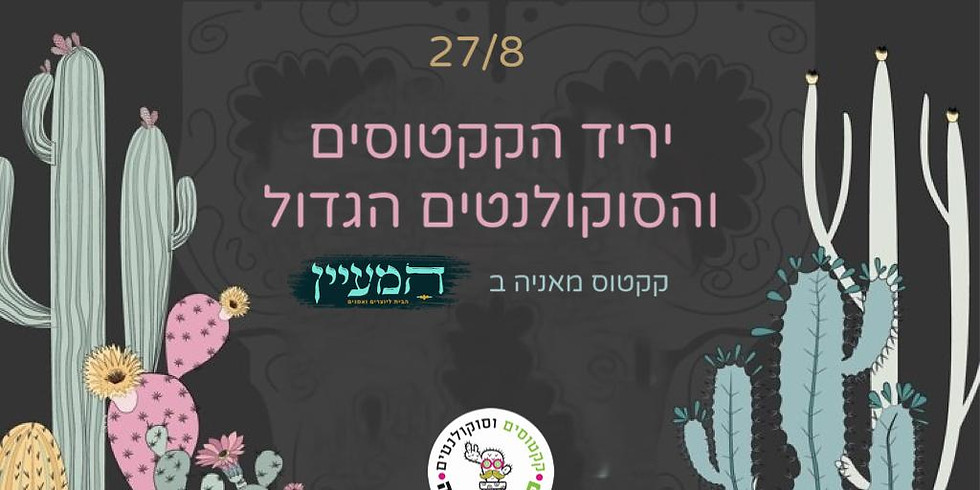 יריד הקקטוסים והסוקולנטים של קקטוס מאניה