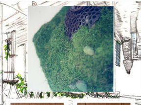 SABOのECサイトオープン