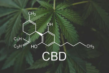 What is CBD?