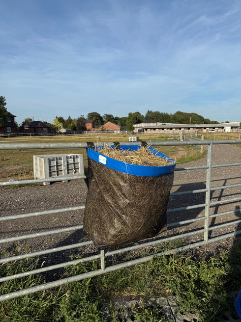 Feed Smarter, Not Harder: Why Horses Love Nose Bagz Hay Feeders š“
