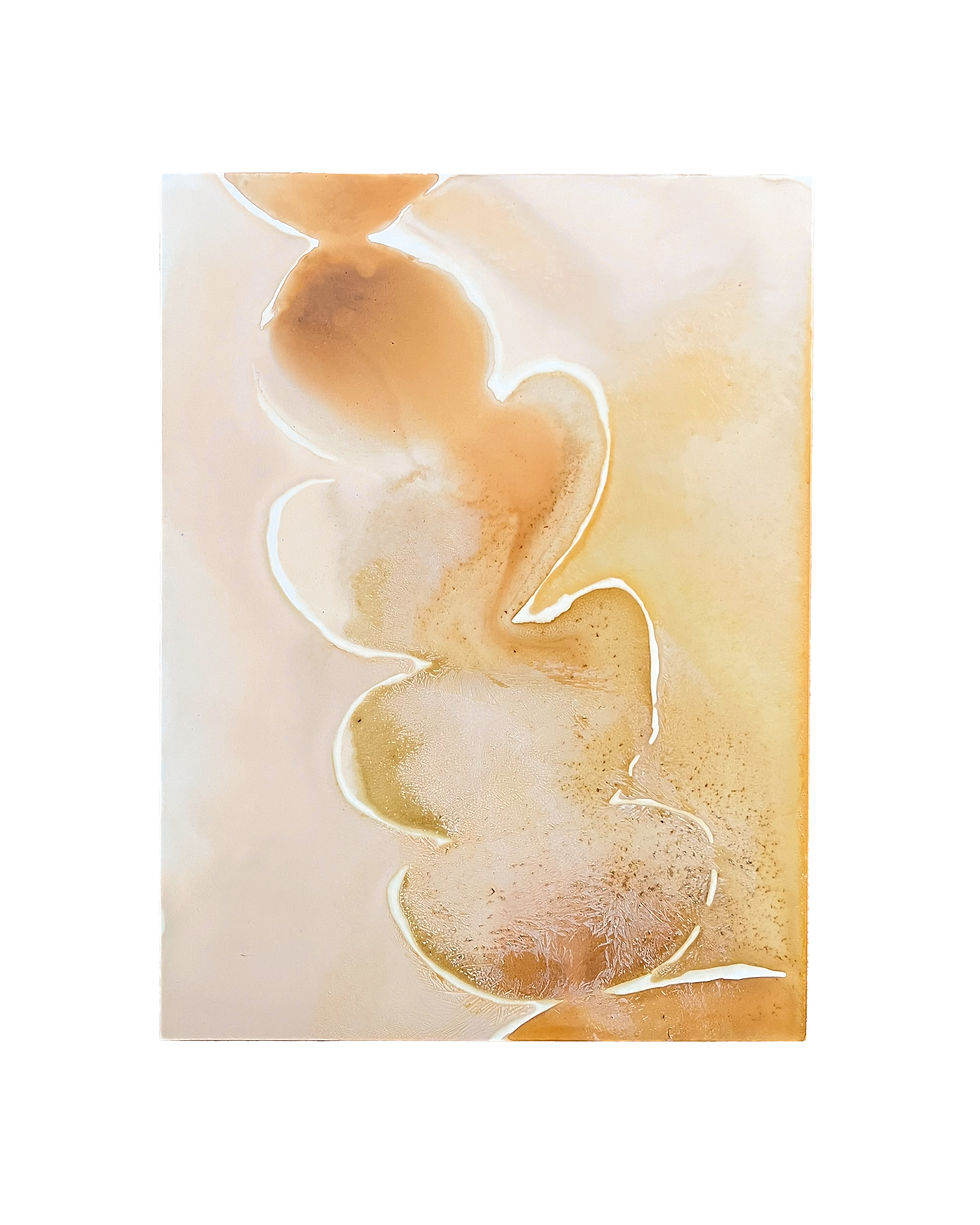 Thumbnail: Heliotropism, 2023