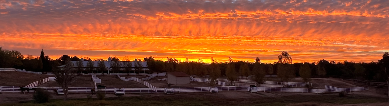 CF Sunset.HEIC