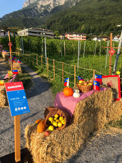 Deko à la Neufeldhof