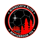 696bd9b38d05bb84b06af7c4_MN Bliss FC Crest.png