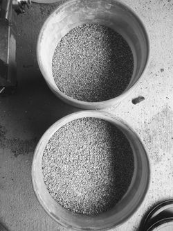 IMG_20240524_085536990~2 (1)