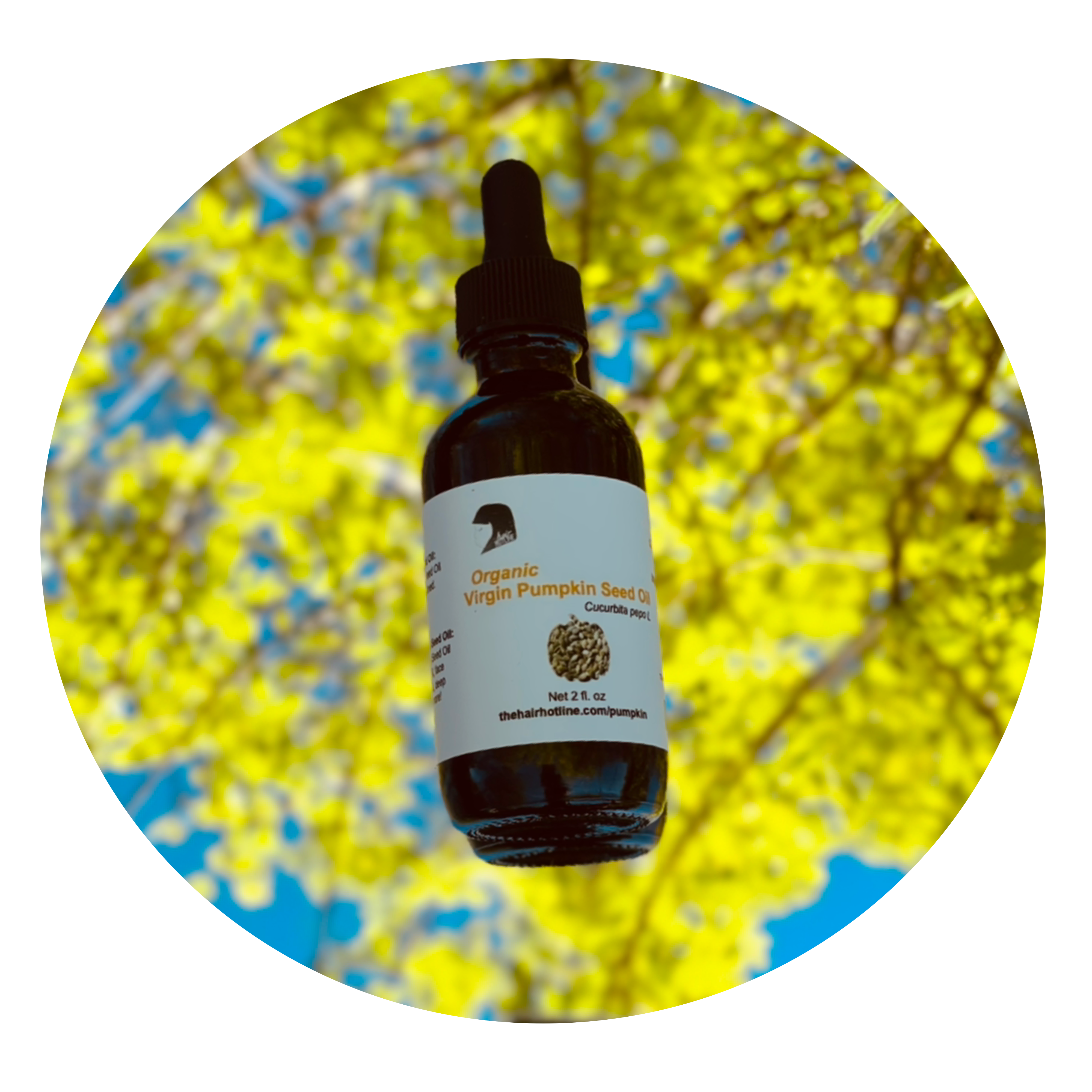 Organic Virgin Pumpkin Seed Oil