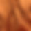 Thumbnail: Premium Queen Pillowcase