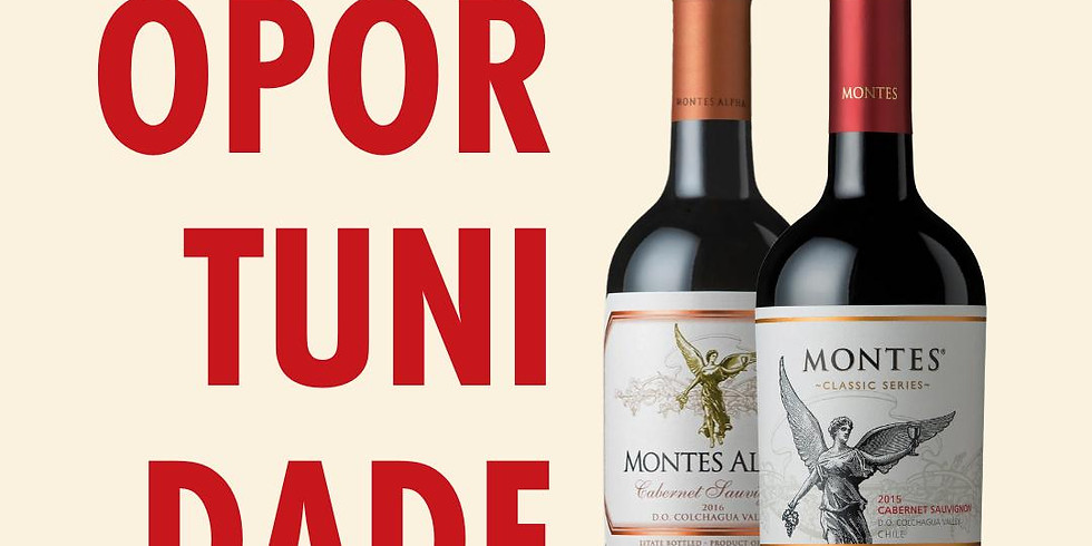 Kit vinhos MONTES