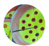 image-removebg-preview (5).png