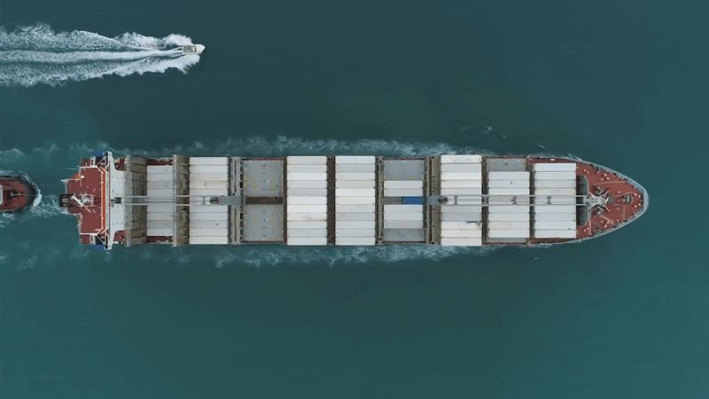 MG Export GIF.gif