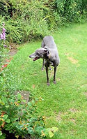 Skye July 2025.jpg