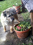 molly august 2024.jfif