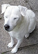 lily 3 july 2025.jpg