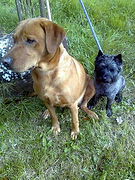 bertie and ash october 2022.jpg