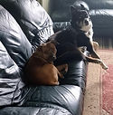 nala and baillie july 2025.jpg