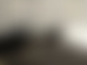 猫と暮らす幸せ㉑「こまち&やまと」との再出発