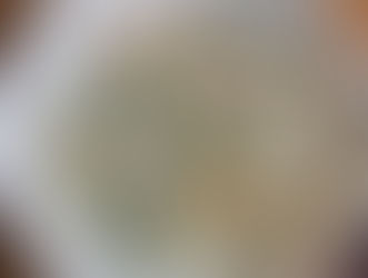 Nasi Tim Telur & Sayur