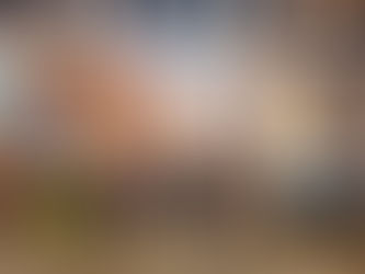 Bishoku Culture, Sebuah Destinasi Kuliner Premium di BSD